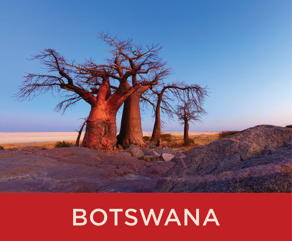 Destination: Botswana