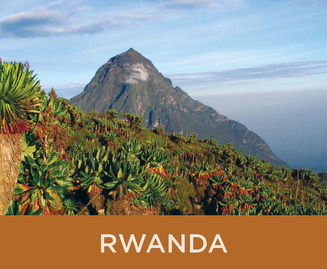 Destination: Rwanda