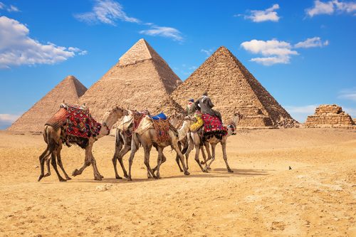 Bedouins on camels in front of the famous Giza Pyramids in Egypt.